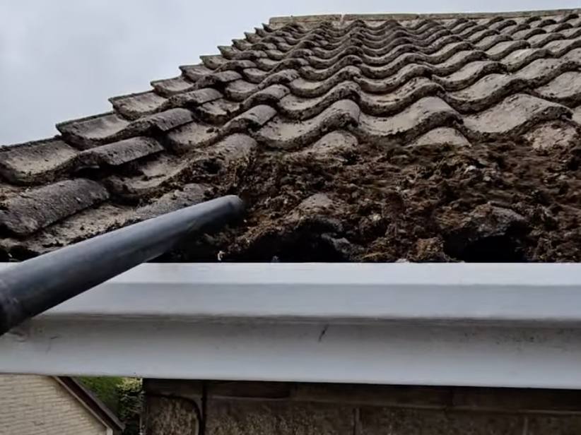 Moss cleared down the roof and piled at the eaves ready to be taken away