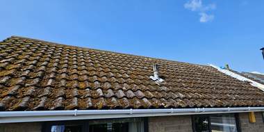 A pantile roof carrying heavy moss growth before cleaning