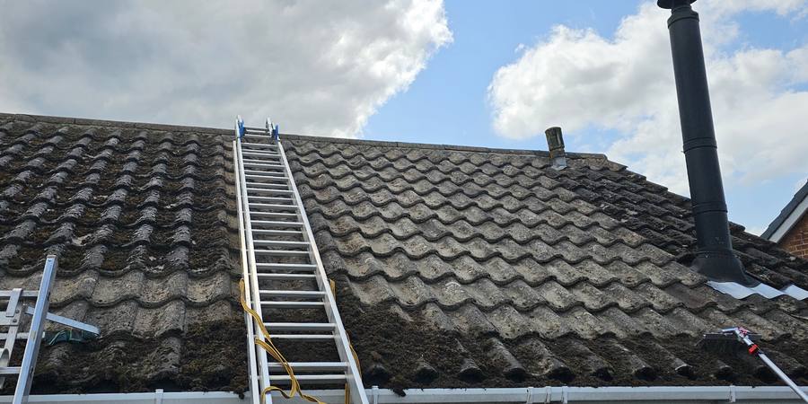 A roof ladder and pole system set up on a mossy roof for controlled moss removal